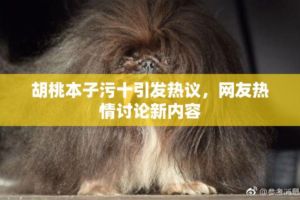 胡桃本子污十引发热议，网友热情讨论新内容