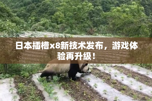 日本插槽x8新技术发布，游戏体验再升级！