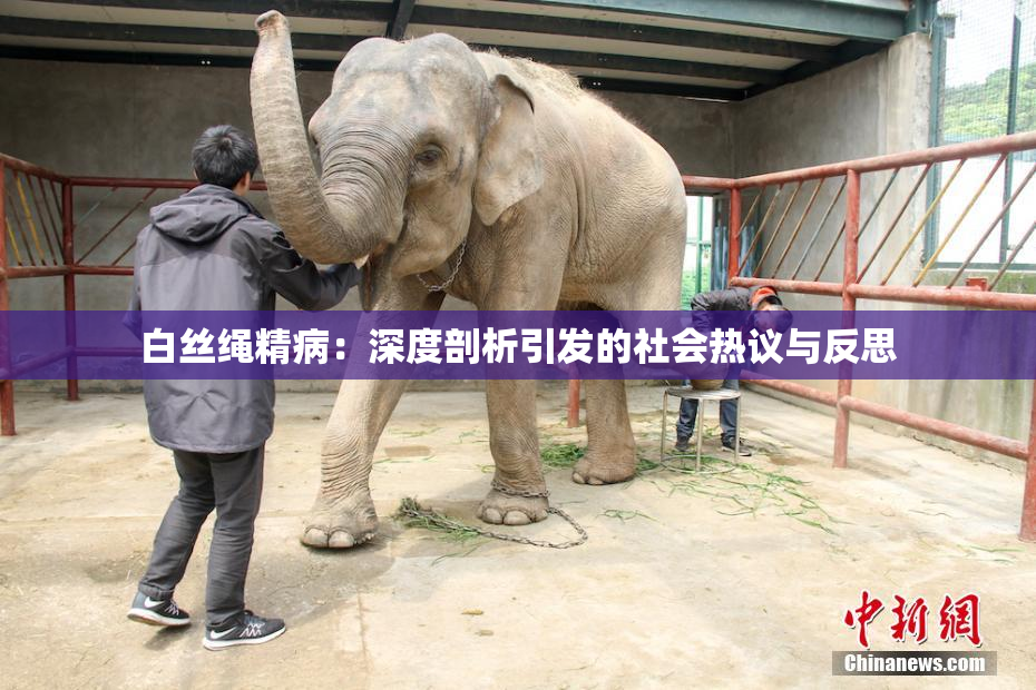 白丝绳精病：深度剖析引发的社会热议与反思
