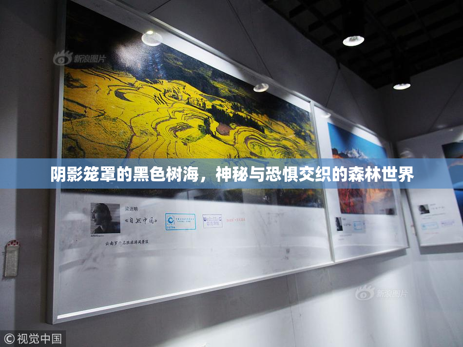 阴影笼罩的黑色树海，神秘与恐惧交织的森林世界