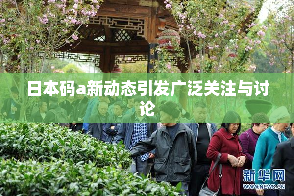 日本码a新动态引发广泛关注与讨论