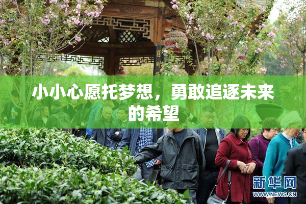 小小心愿托梦想，勇敢追逐未来的希望