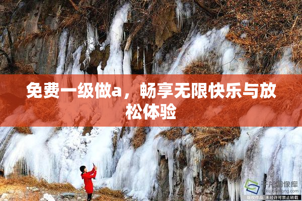 免费一级做a，畅享无限快乐与放松体验