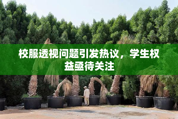 校服透视问题引发热议，学生权益亟待关注