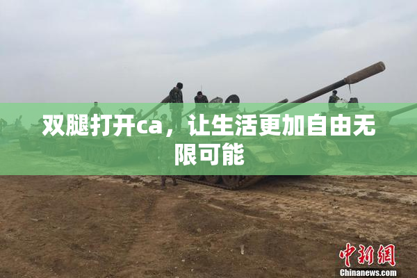 双腿打开ca，让生活更加自由无限可能