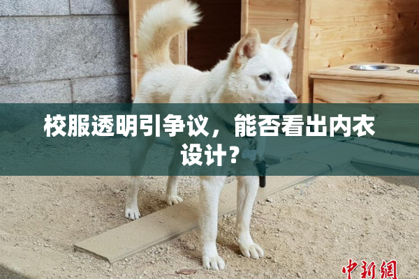 校服透明引争议，能否看出内衣设计？