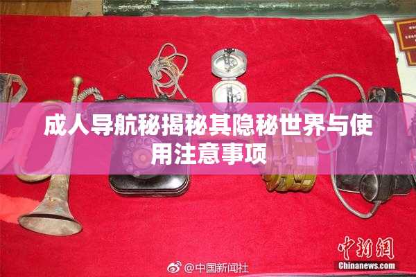 成人导航秘揭秘其隐秘世界与使用注意事项