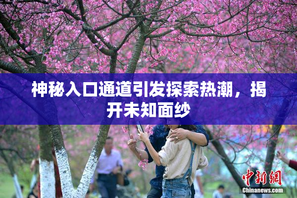 神秘入口通道引发探索热潮，揭开未知面纱
