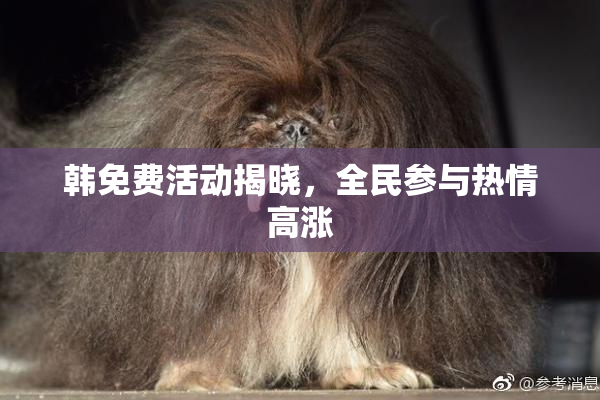 韩免费活动揭晓，全民参与热情高涨
