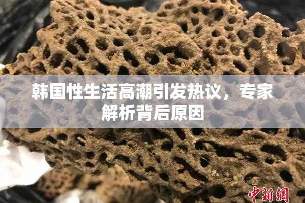 韩国性生活高潮引发热议，专家解析背后原因