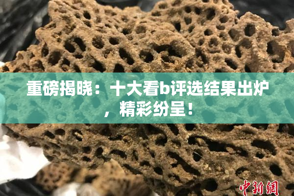 重磅揭晓：十大看b评选结果出炉，精彩纷呈！