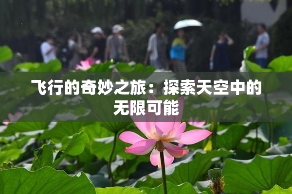 飞行的奇妙之旅：探索天空中的无限可能