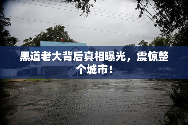 黑道老大背后真相曝光，震惊整个城市！