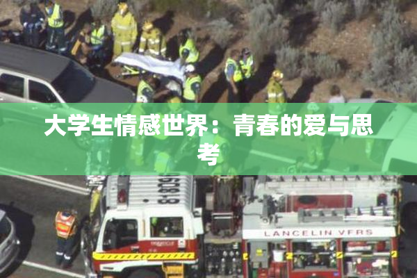 大学生情感世界：青春的爱与思考