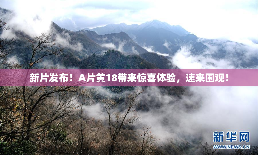 新片发布！A片黄18带来惊喜体验，速来围观！