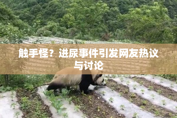 触手怪？进尿事件引发网友热议与讨论