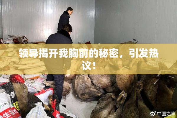 领导揭开我胸前的秘密，引发热议！