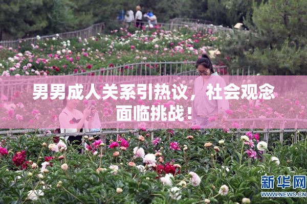 男男成人关系引热议，社会观念面临挑战！