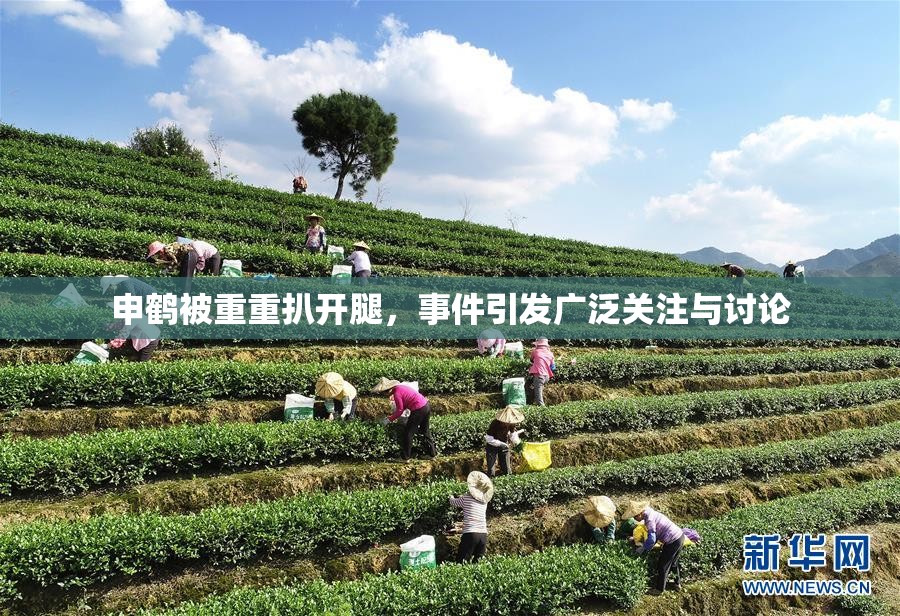 申鹤被重重扒开腿，事件引发广泛关注与讨论