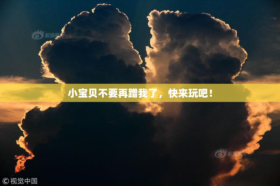 小宝贝不要再蹭我了，快来玩吧！
