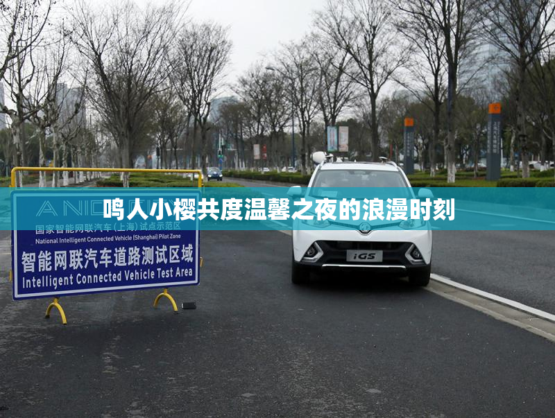 鸣人小樱共度温馨之夜的浪漫时刻