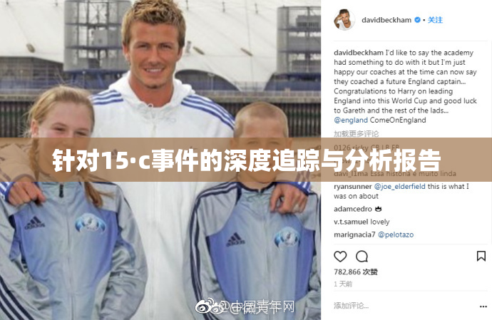 针对15·c事件的深度追踪与分析报告
