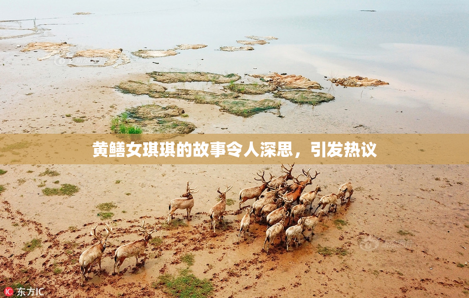 黄鳝女琪琪的故事令人深思，引发热议