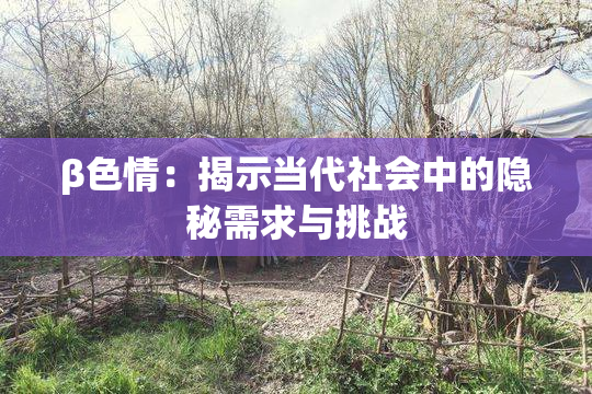 β色情：揭示当代社会中的隐秘需求与挑战