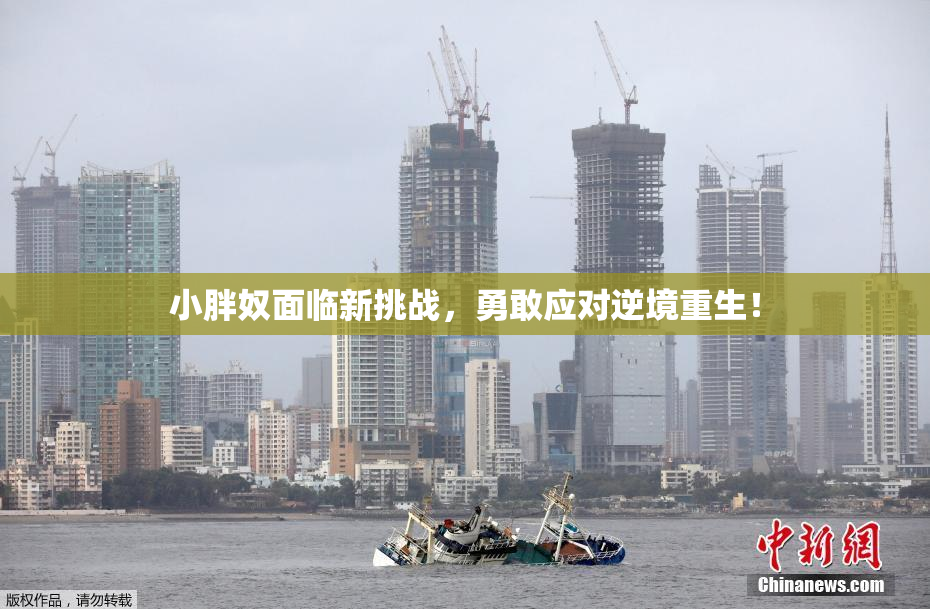 小胖奴面临新挑战，勇敢应对逆境重生！