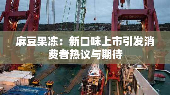 麻豆果冻：新口味上市引发消费者热议与期待