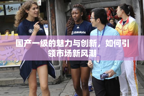 国产一级的魅力与创新，如何引领市场新风潮