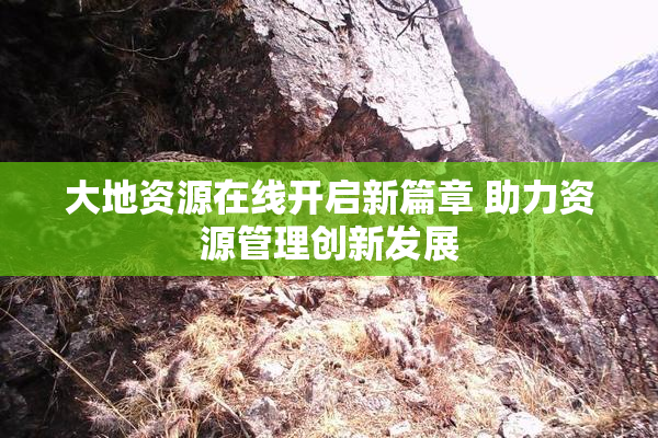 大地资源在线开启新篇章 助力资源管理创新发展