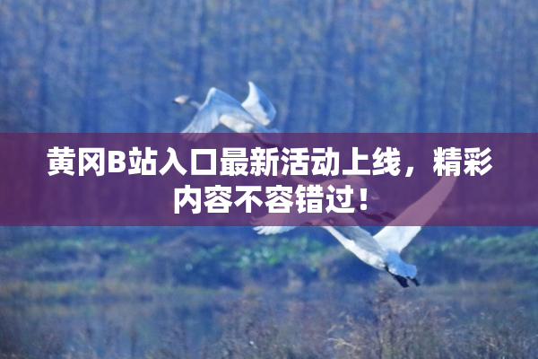 黄冈B站入口最新活动上线，精彩内容不容错过！