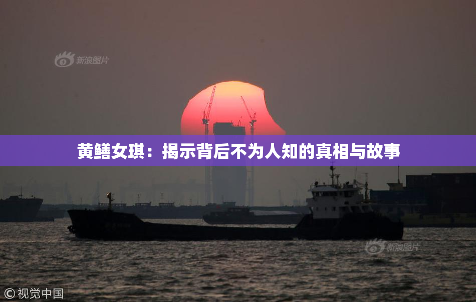 黄鳝女琪：揭示背后不为人知的真相与故事