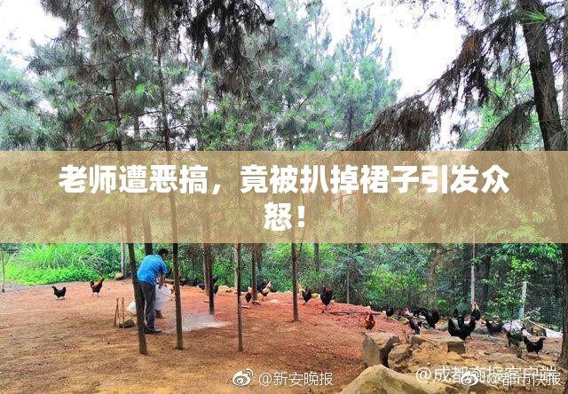 老师遭恶搞，竟被扒掉裙子引发众怒！