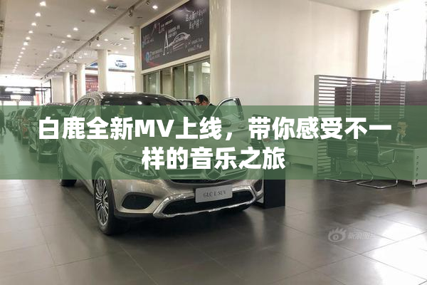 白鹿全新MV上线，带你感受不一样的音乐之旅