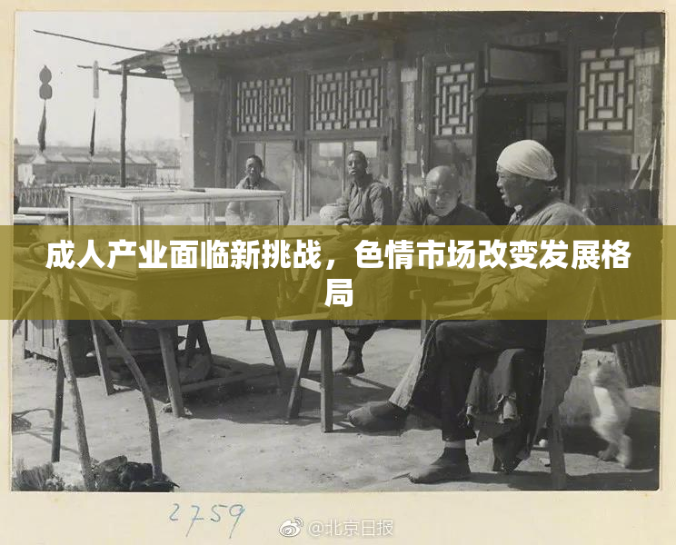 成人产业面临新挑战，色情市场改变发展格局