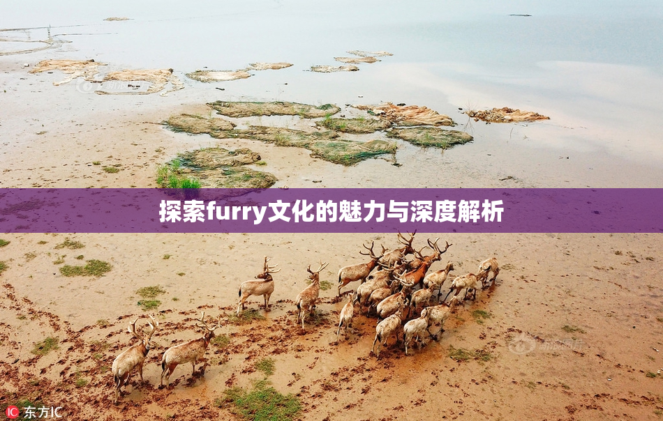 探索furry文化的魅力与深度解析