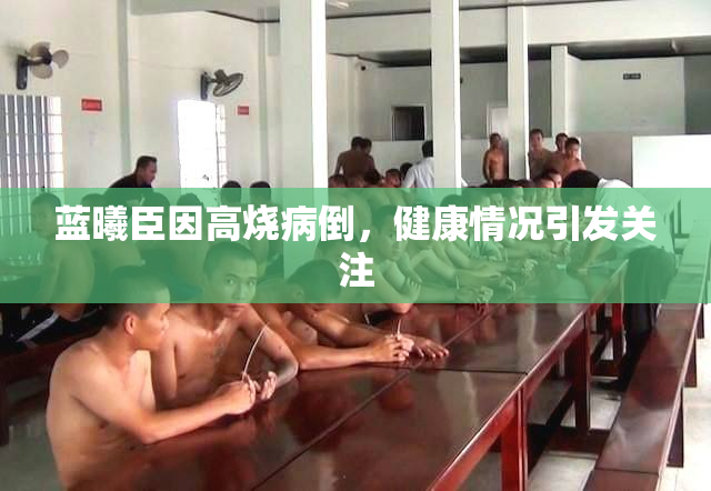 蓝曦臣因高烧病倒，健康情况引发关注
