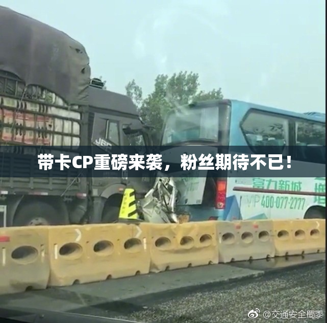 带卡CP重磅来袭，粉丝期待不已！