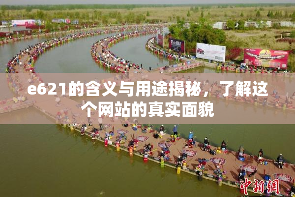 e621的含义与用途揭秘，了解这个网站的真实面貌
