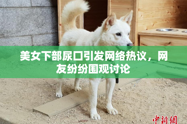 美女下部尿囗引发网络热议，网友纷纷围观讨论