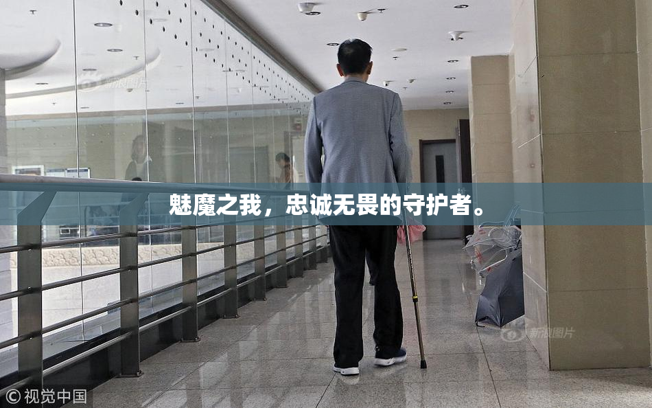 魅魔之我，忠诚无畏的守护者。