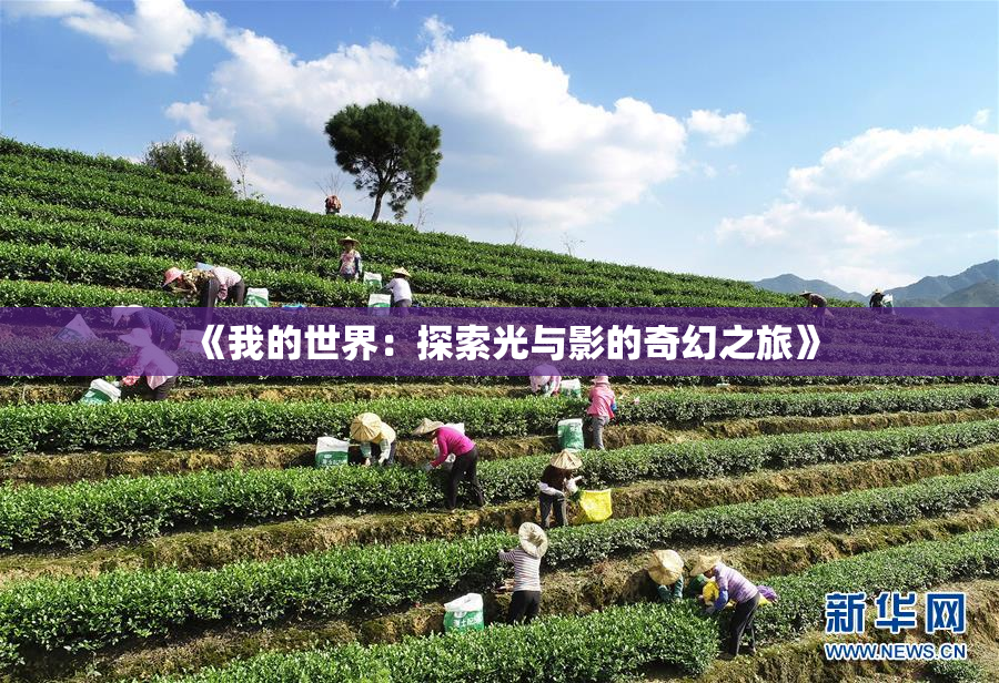 《我的世界：探索光与影的奇幻之旅》