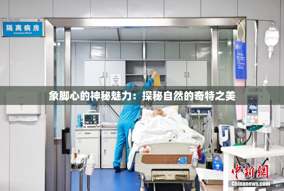 象脚心的神秘魅力：探秘自然的奇特之美