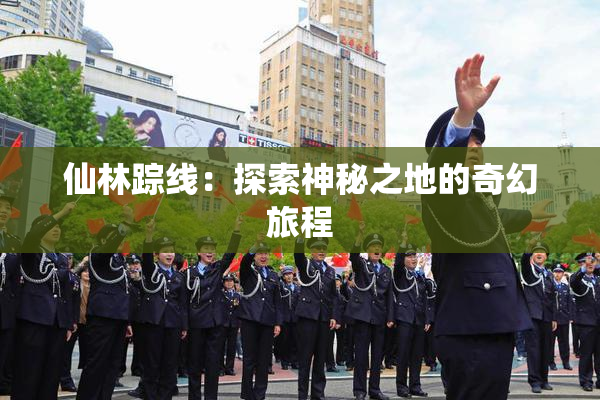仙林踪线：探索神秘之地的奇幻旅程