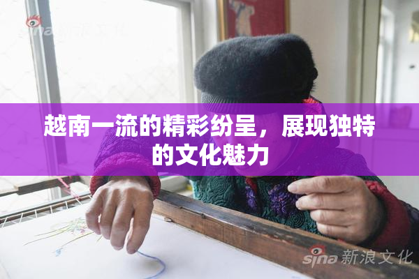 越南一流的精彩纷呈，展现独特的文化魅力