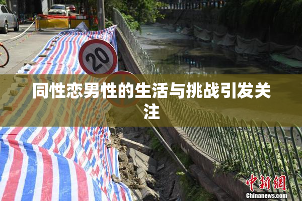 同性恋男性的生活与挑战引发关注