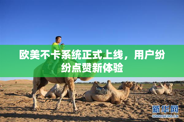 欧美不卡系统正式上线，用户纷纷点赞新体验