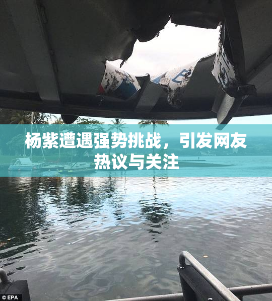 杨紫遭遇强势挑战，引发网友热议与关注